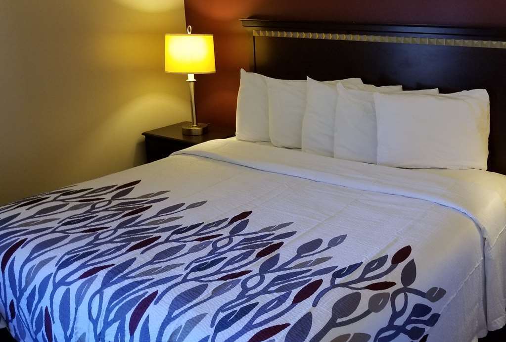 Red Roof Inn & Suites Уилсън Стая снимка